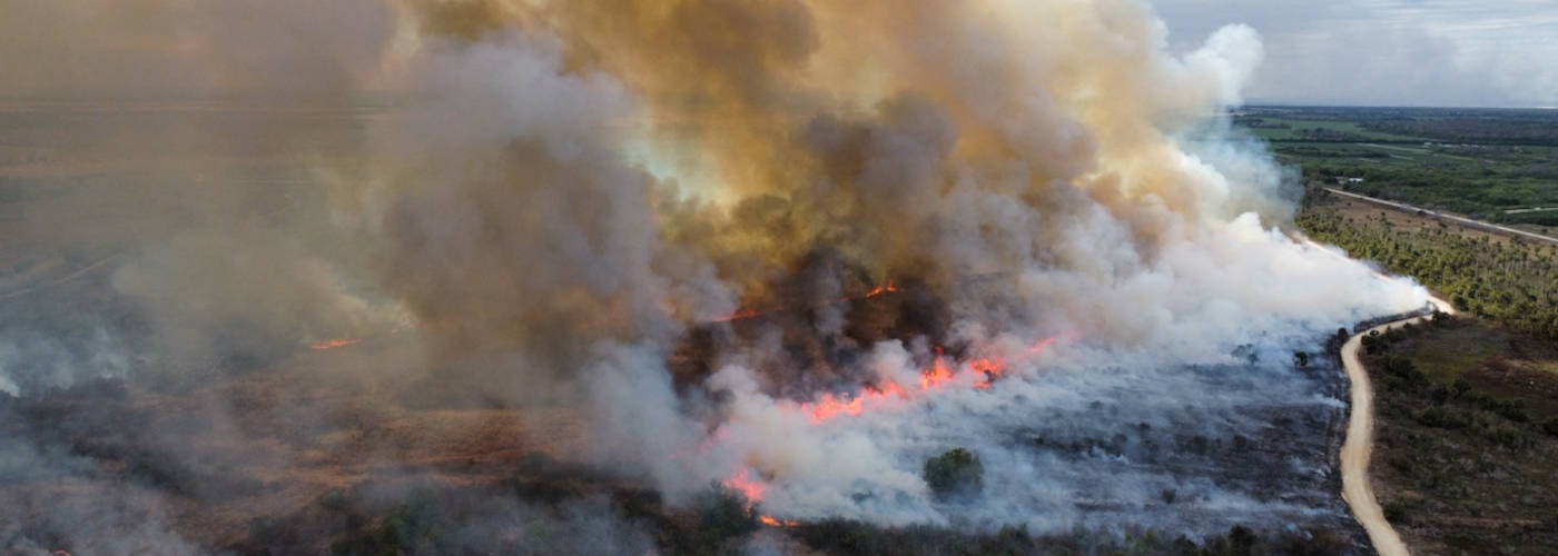Featured Image for FLORIDA LAND AND FIRE LLC